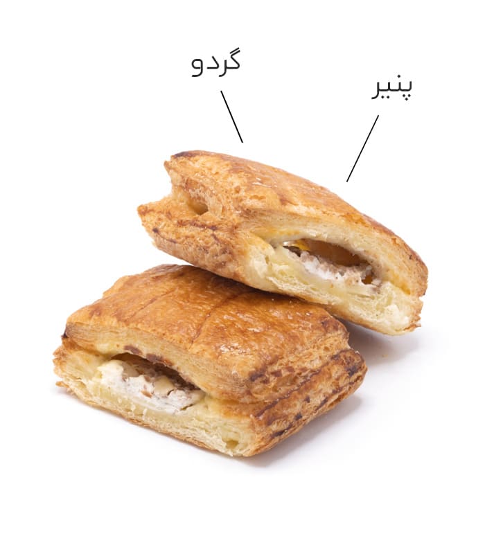 دانمارکی پنیری